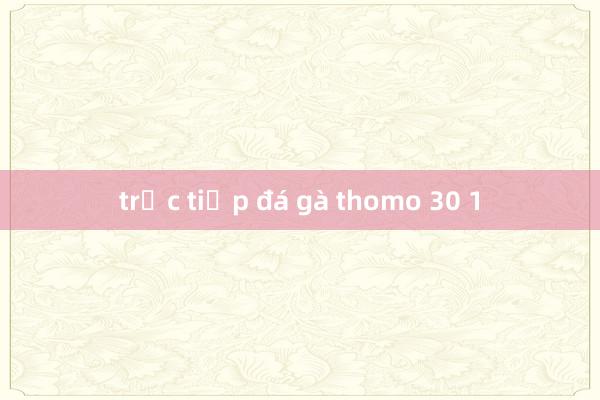 trực tiếp đá gà thomo 30 1