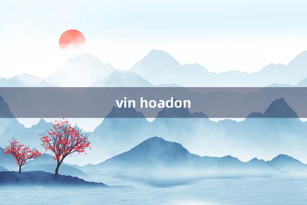 vin hoadon