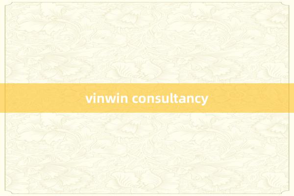 vinwin consultancy