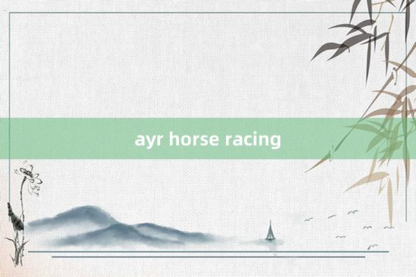 ayr horse racing