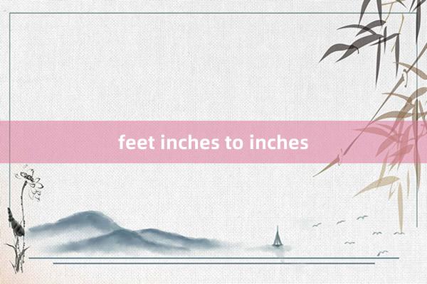 feet inches to inches