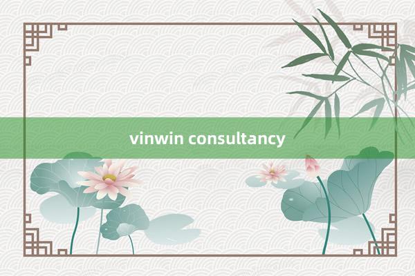 vinwin consultancy