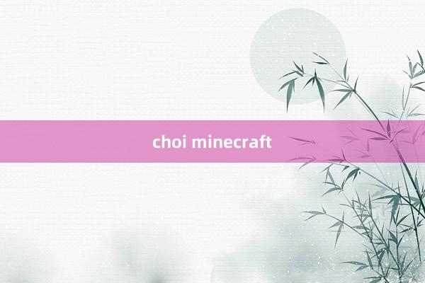 choi minecraft